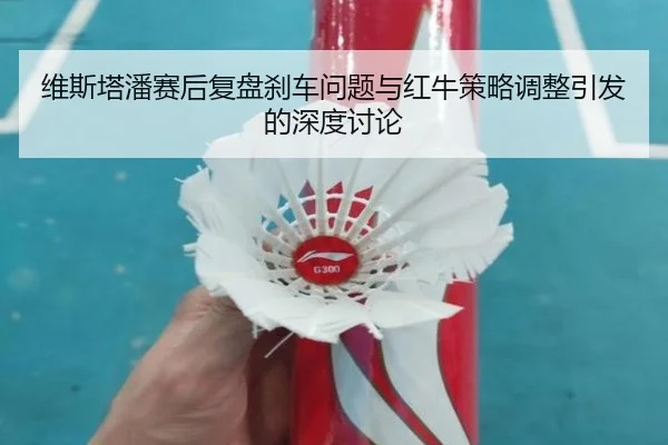 维斯塔潘赛后复盘刹车问题与红牛策略调整引发的深度讨论